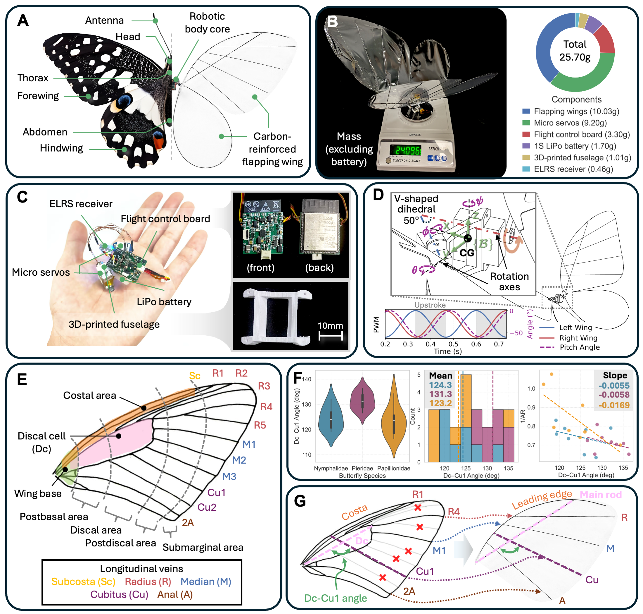 Morphological and structural design of the AirPulse robot